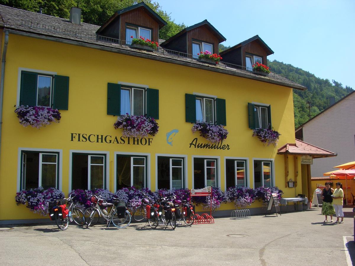 Obermuhl Fischgasthof Aumueller מראה חיצוני תמונה